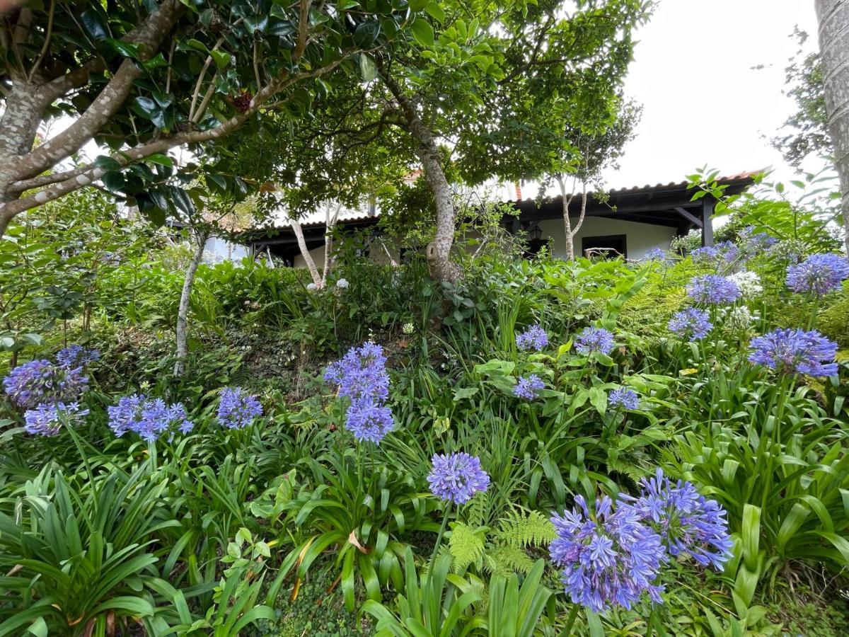 Casas De Campo Do Pomar B&B - Self Check-In Santana  Buitenkant foto