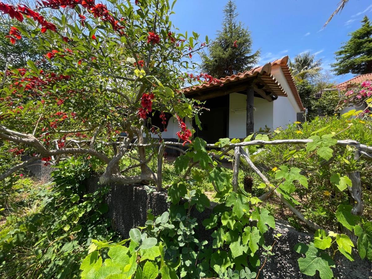 Casas De Campo Do Pomar B&B - Self Check-In Santana  Buitenkant foto