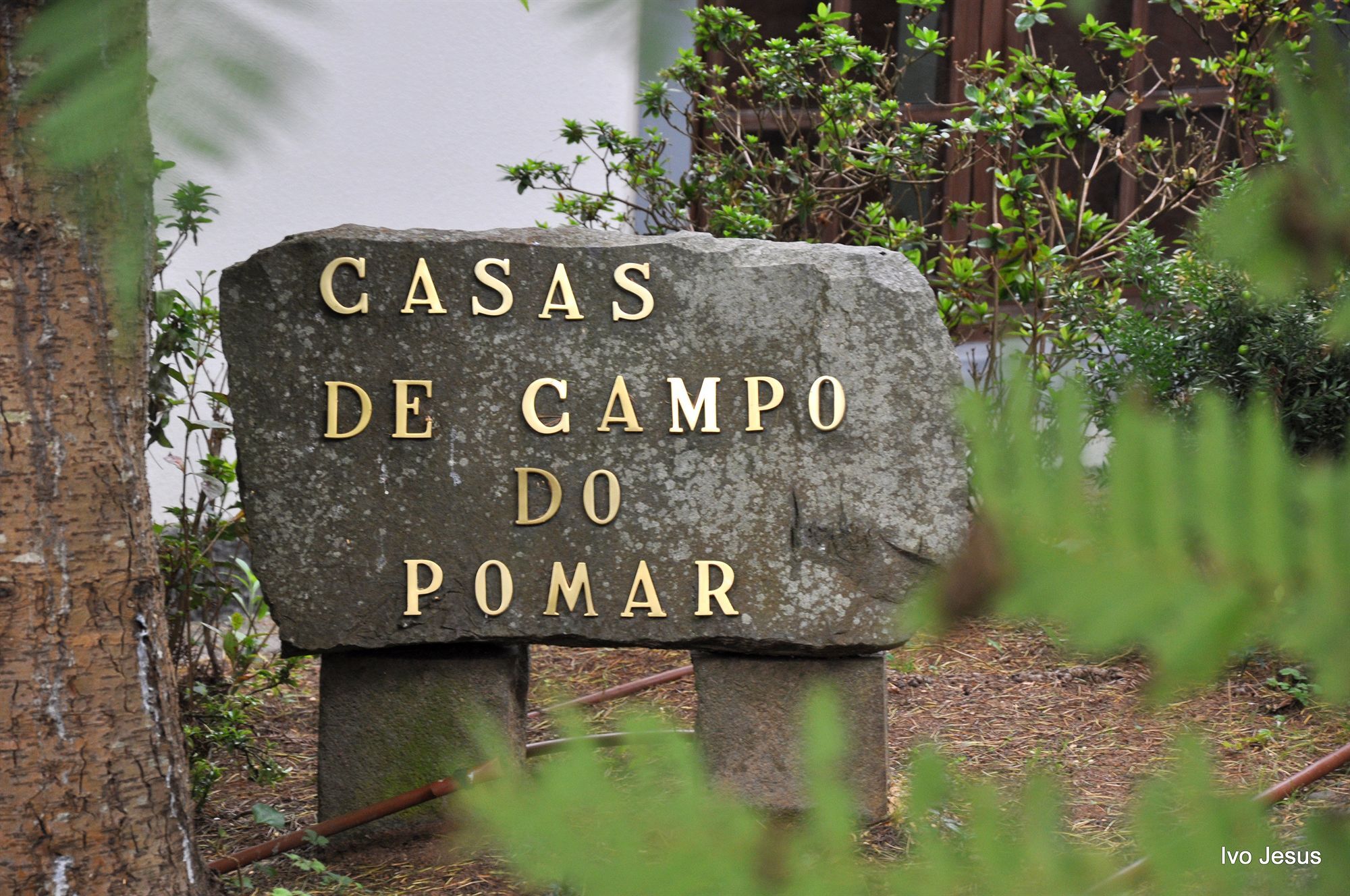 Casas De Campo Do Pomar B&B - Self Check-In Santana  Buitenkant foto
